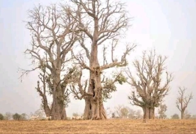 Epreuve de Géographie 2nde